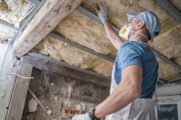 Best Commercial Insulation in Malakoff, TX